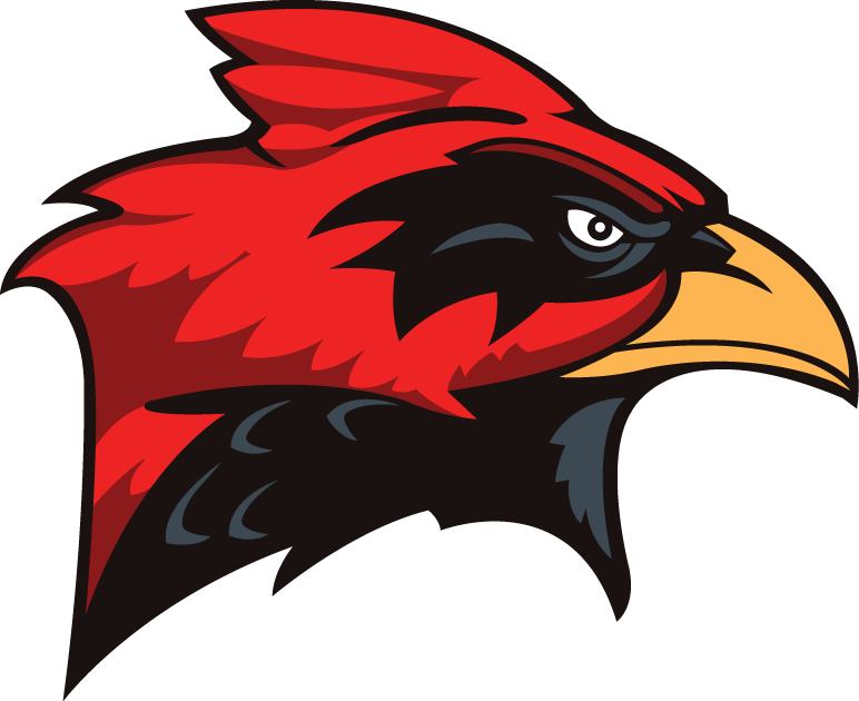 Incarnate Word Cardinals 1998-2010 Secondary Logo iron on transfers for clothing
